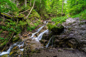 Potok Górski © lysy33331