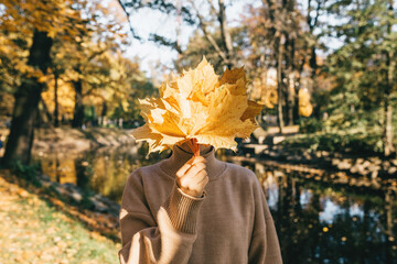 A beautiful woman is holding a bouquet of yellow autumn leaves covering her face. Autumn mood and concept.