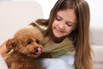 Little child with cute puppy in armchair indoors. Lovely pet