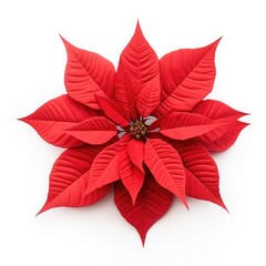 Beautiful poinsettia isolated on white background top view created with Generative AI technology.