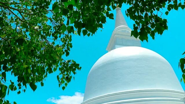 Mahiyangana Raja Maha Vihara. 
It is an ancient Buddhist temple in Mahiyangana, Sri Lanka. It is believed to be the site of Lord Buddha's first visit to the country. Stupa and Bhodi.