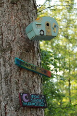 Wooden birdhouse hanging on a tree in a wooded area, with other trees in the background