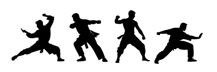 Fototapeta na wymiar Kungfu martial art sport silhouette