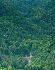 Obraz premium Kufstein, Austria, Lonely House in Forest