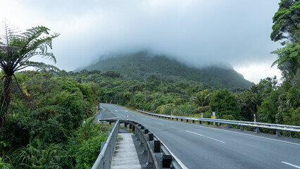 Fototapeta na wymiar New Zealand, Punakaiki, Misty Mountain