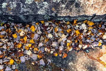 Top view of dried leaves on the forest floor, illuminated by natural light with a large rock