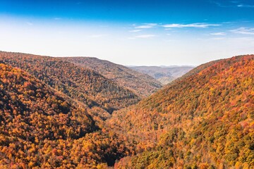 Obraz premium Scenic autumn landscape featuring mountains with vibrant trees. West Virginia, USA.