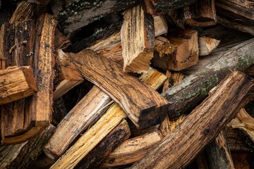 Stack of wood logs leaning against a bush in an outdoor setting