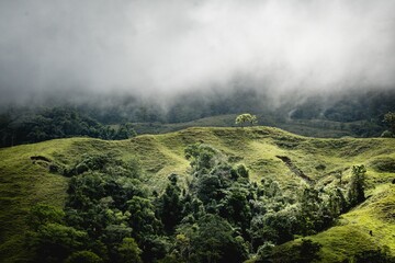Lush, green mountain, with trees dotting its slopes, is illuminated by a gray, cloudy sky.