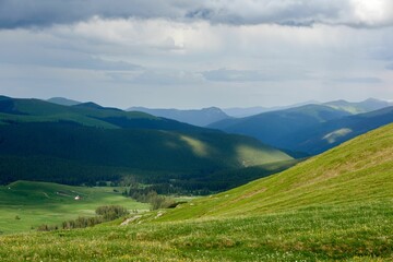 Fototapeta na wymiar Scenic landscape featuring lush green grass in the foreground and the distant Carpathian mountains