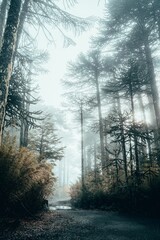 Obraz premium Idyllic dirt road running through a vibrant, lush green forest on a foggy day