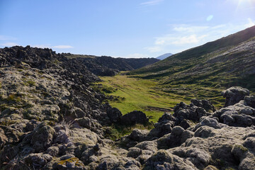 In the foreground a lava field covered with moss, in the background mountains.Helgafellssveit, Iceland.