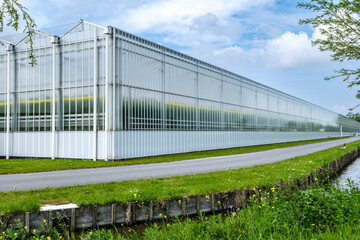 Fototapeta na wymiar Perspective view of a modern industrial greenhouse in the Westland, the Netherlands. Westland is a region in of the Netherlands.