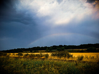rainbow over the field