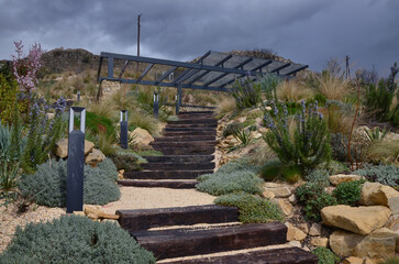 early spring rock garden in a storm