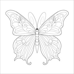 Contour drawing of a butterfly. Adult or children's coloring book. Insects