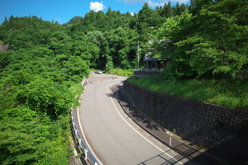 晴れた夏の坂道