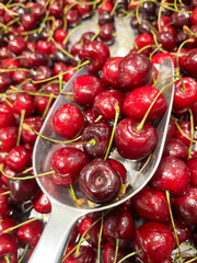 Fresh and Delicious Cherries in the Supermarket