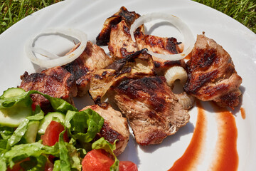 Barbecue with onions, vegetable salad and sauce on a plate. Lunch on the grass lawn. Close-up.