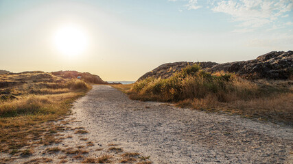 a gravel path winding through a rocky landscape with the sun setting in the background. The...