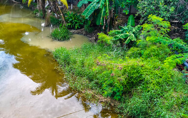 Green beautiful tropical river Freshwater Lagoon in Puerto Escondido Mexico.