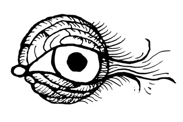 Obraz premium Twig branch eyes eyelashes pupils piercing gaze cartoon tattoo print stamp