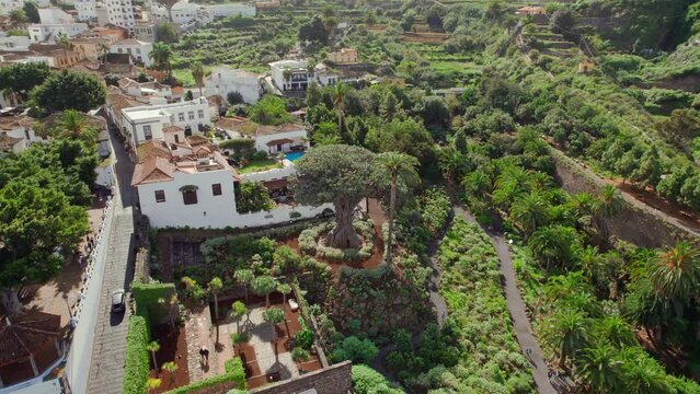 Aerial view of Icod de los Vinos town, Tenerife, Canary Islands, Spain