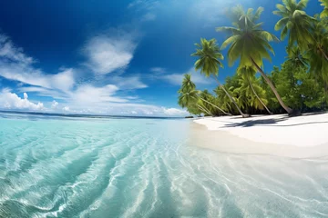Photo sur Plexiglas Anse Source D'Agent, île de La Digue, Seychelles Turquoise sea on palm trees on the tropical beach and the right summer sunshine on travel or vacation. Travel concept for holidays and vacations.