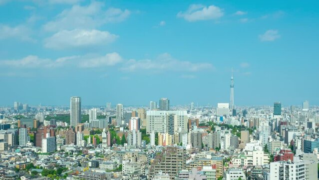 東京風景　タイムラプス　2023夏