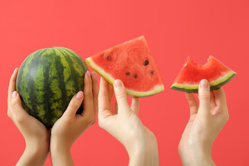 Female hands with pieces of ripe fresh watermelon on red background, closeup