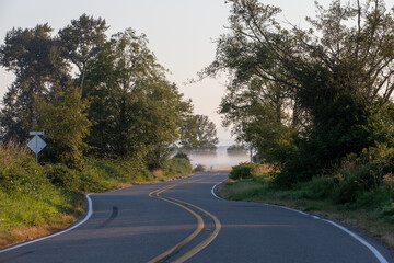 Homeacres road winding into the misty morning fog