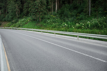 Fototapeta premium Asphalt road in green forest