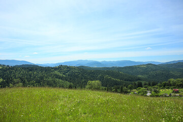 Fototapeta na wymiar Mountain landscape with meadow and forest in Carpathians, Ukraine