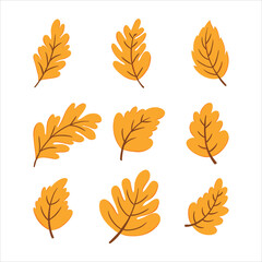 Autumn and Fall Element for Decoration