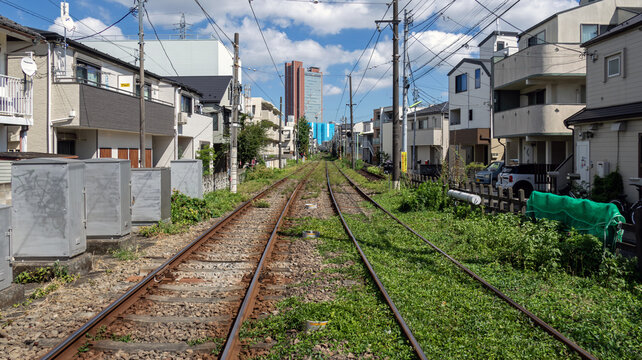 夏草が茂る線路