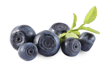 Delicious ripe bilberries and green leaves isolated on white
