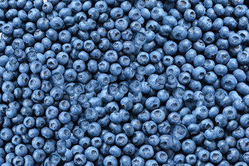 Tasty fresh blueberries as background, top view