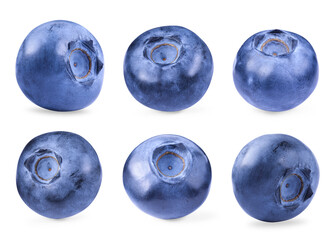 Set with fresh ripe blueberries isolated on white