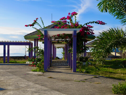 Gazebo in the park. Berso. Landscaping, gallery, path. Pergola with vertical columns and flowers. Vertical poles with horizontal bars form an arch for pedestrians in the park.