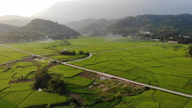 Rice fields in Mai Chau in Vietnam filmed from a drone
