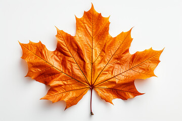 Autumn colored fall leaf isolated on transparent background overlay texture. AI generative