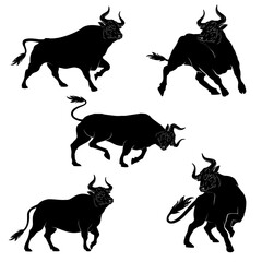 bull vector illustration