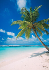 Tropical beach and palm trees, The Maldives, Indian Ocean - obrazy, fototapety, plakaty