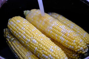 Ears of Corn in pot to be boiled