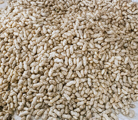 seeds background