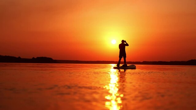 Sportive male silhouette on the orange sunset backdrop. Man practicing sup boarding on the river in summer.