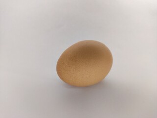 egg  02 3