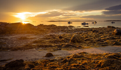 Sunrise on the bay at low tide and seaweed