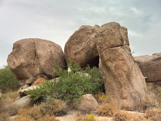 rocks in the desert