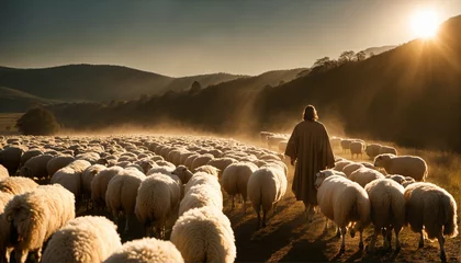 Poster Jesus Christ the shepherd leading sheep and praying to God in a field with bright sunlight © ibreakstock